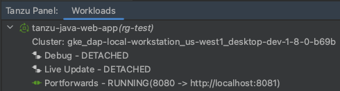 The existing port forward is shown in the Tanzu Workloads panel.