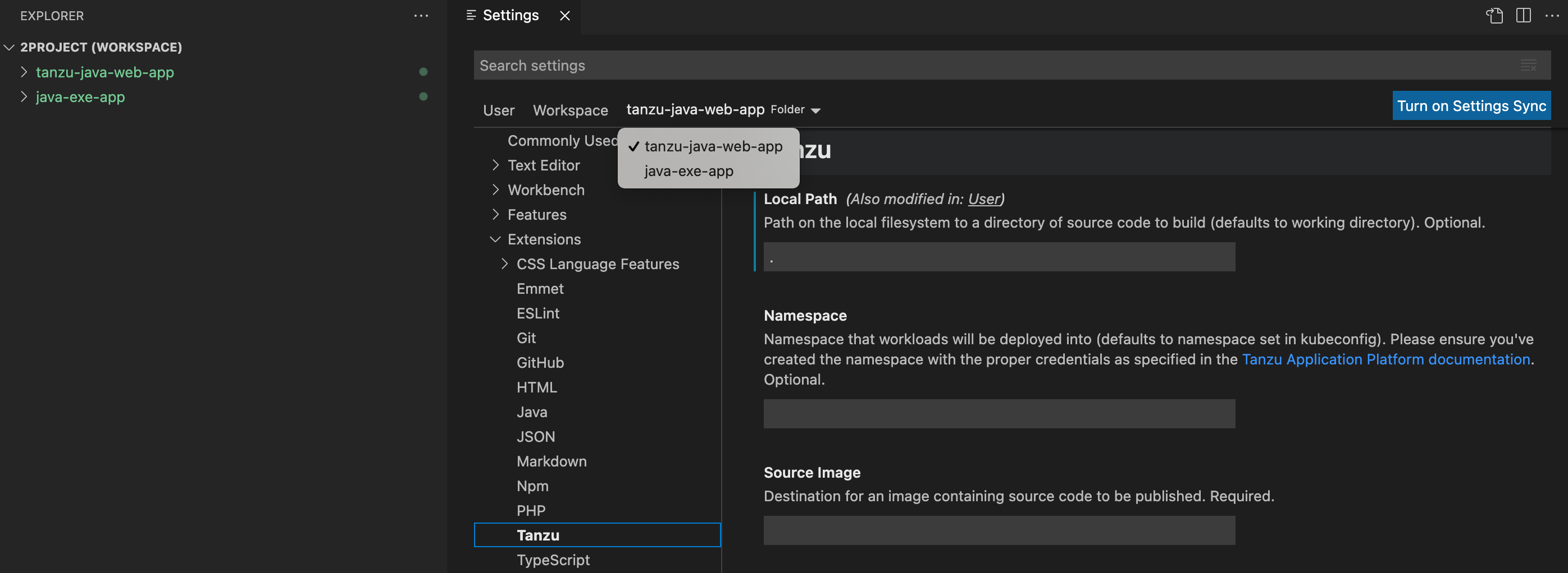 The interface showing Tanzu Extension selected in the settings. The Project drop-down menu shows both projects in the current workspace.