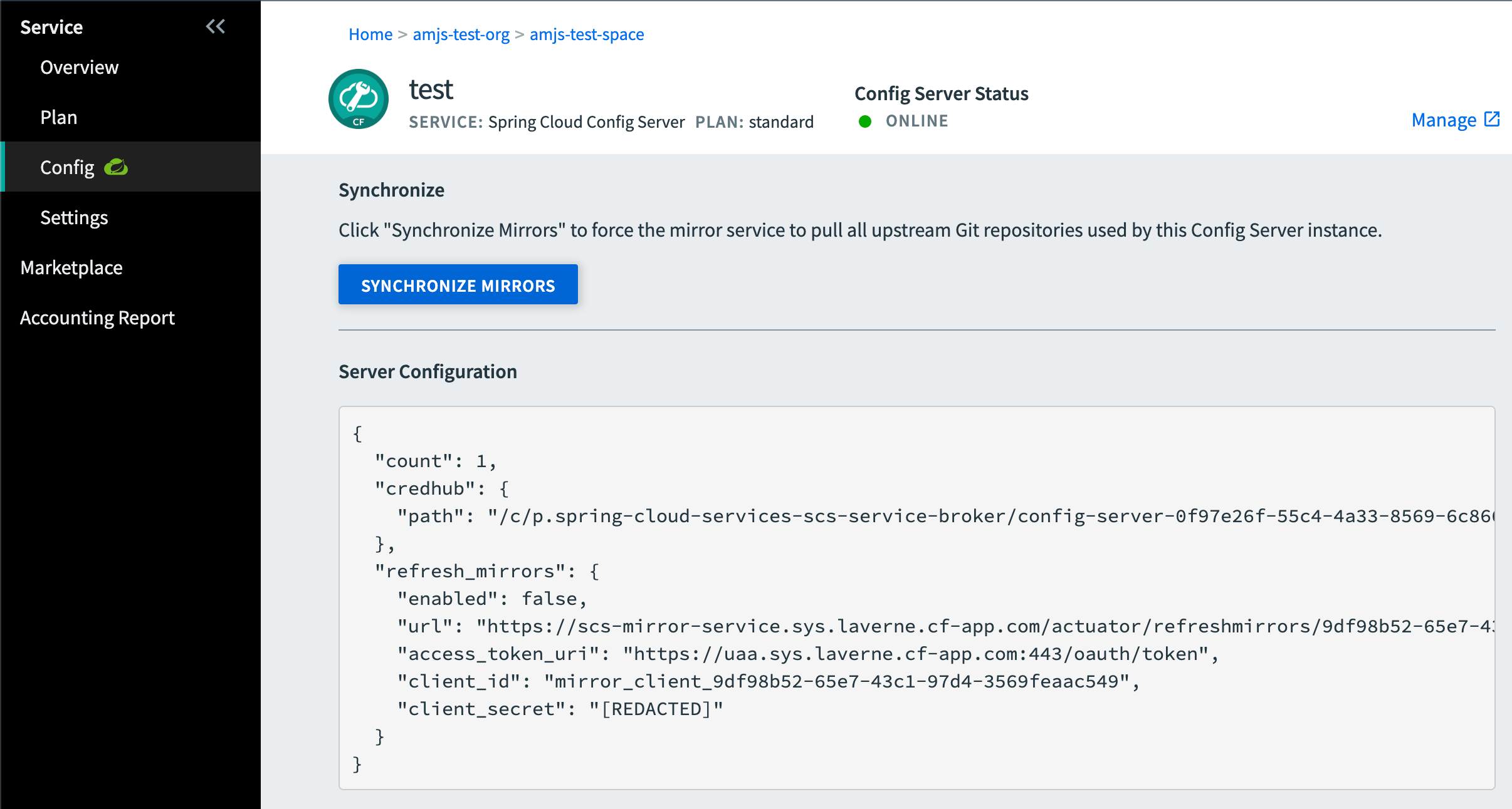 Service Config page for Spring Cloud Service instance.