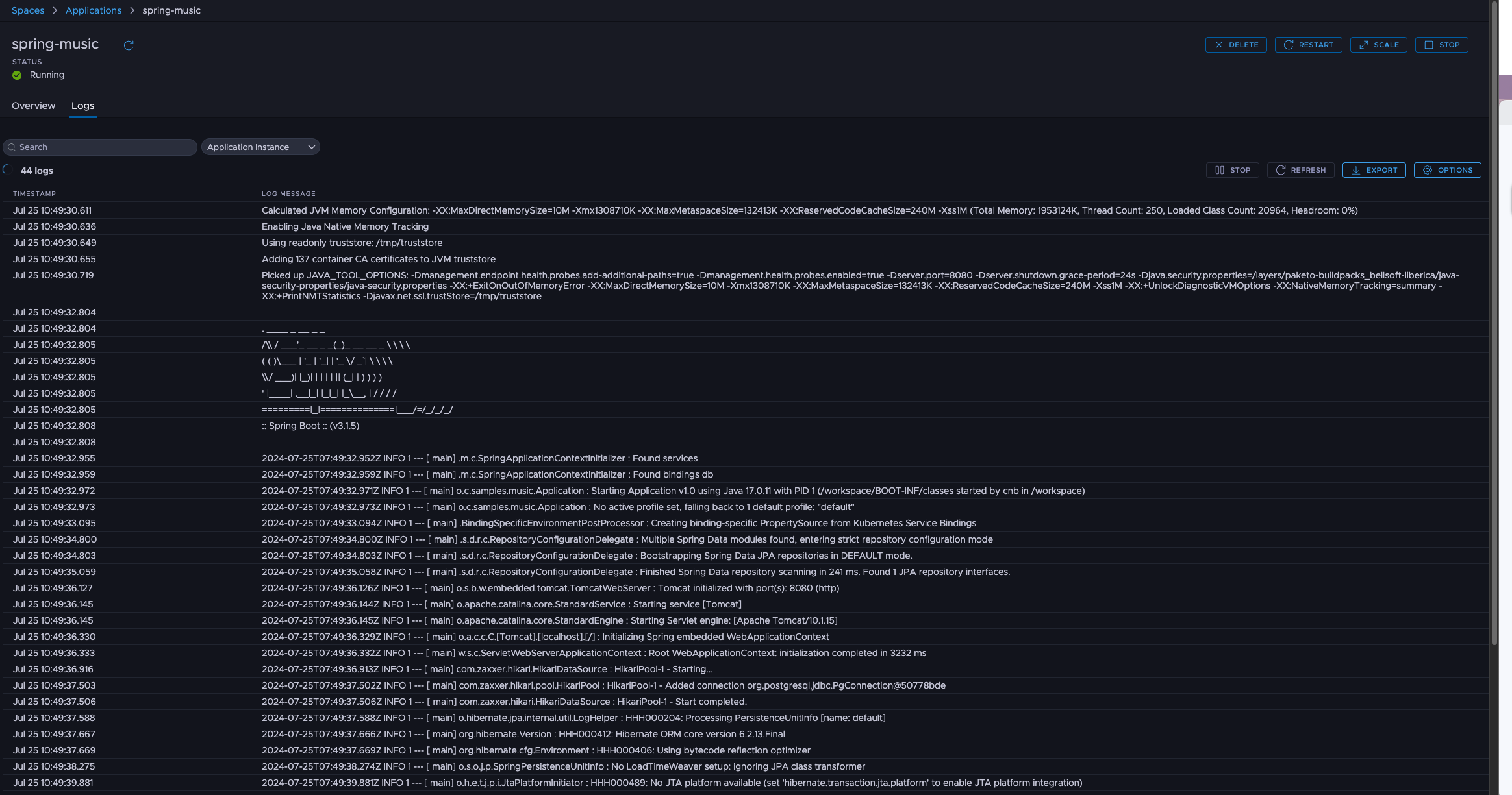 Log streaming for an application instance in Tanzu Platform hub.