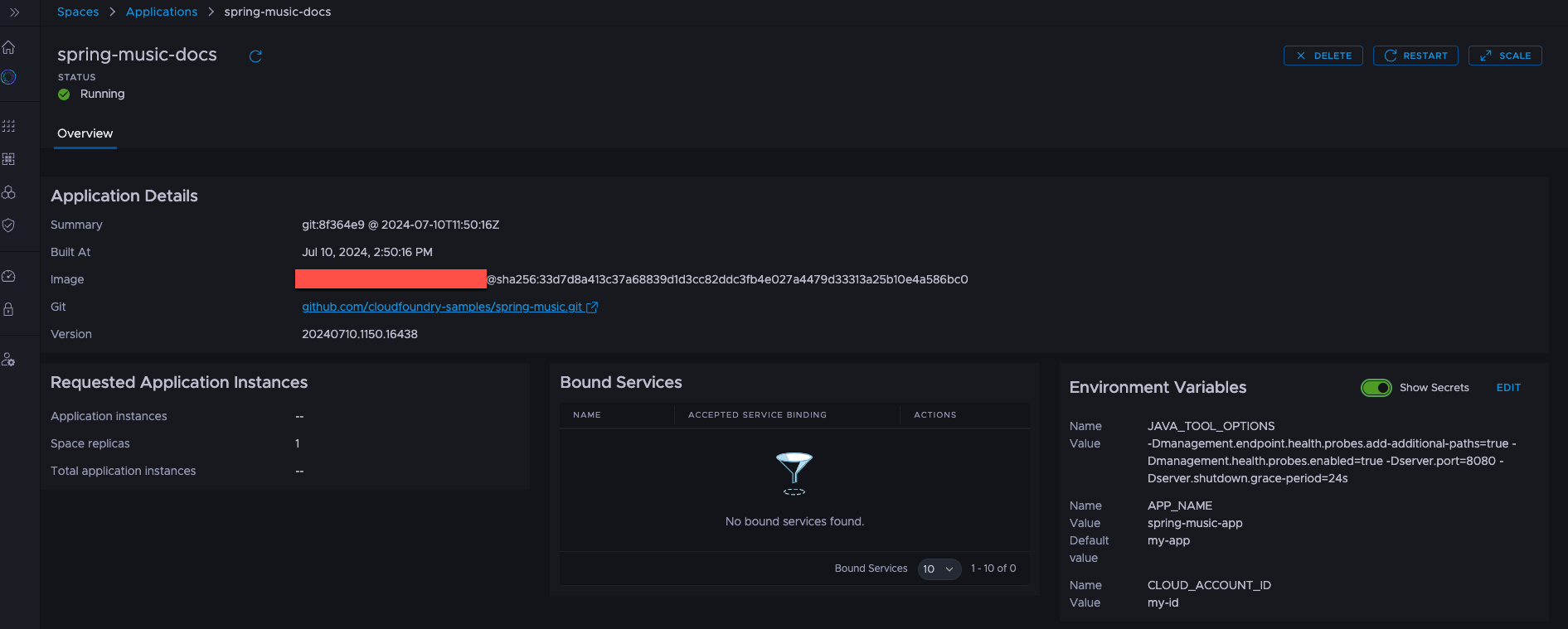 The Environment Variables widget displaying all environment variables set in the application and the secret values.