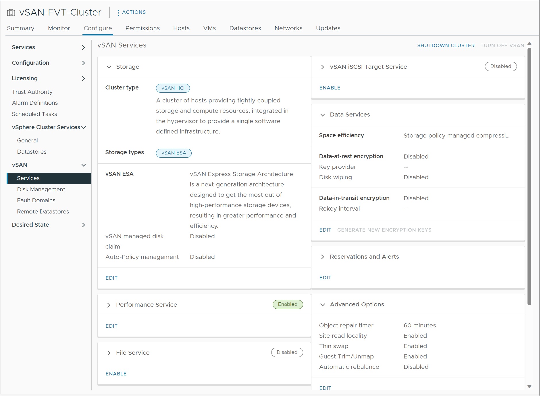 vSAN Services in vSphere Client