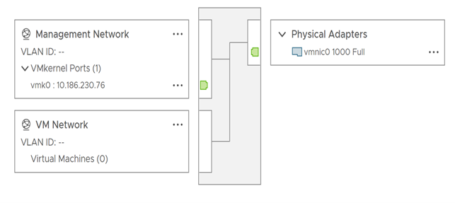 The topology diagram of a standard switch that connects the VMkernel and virtual machines to the network