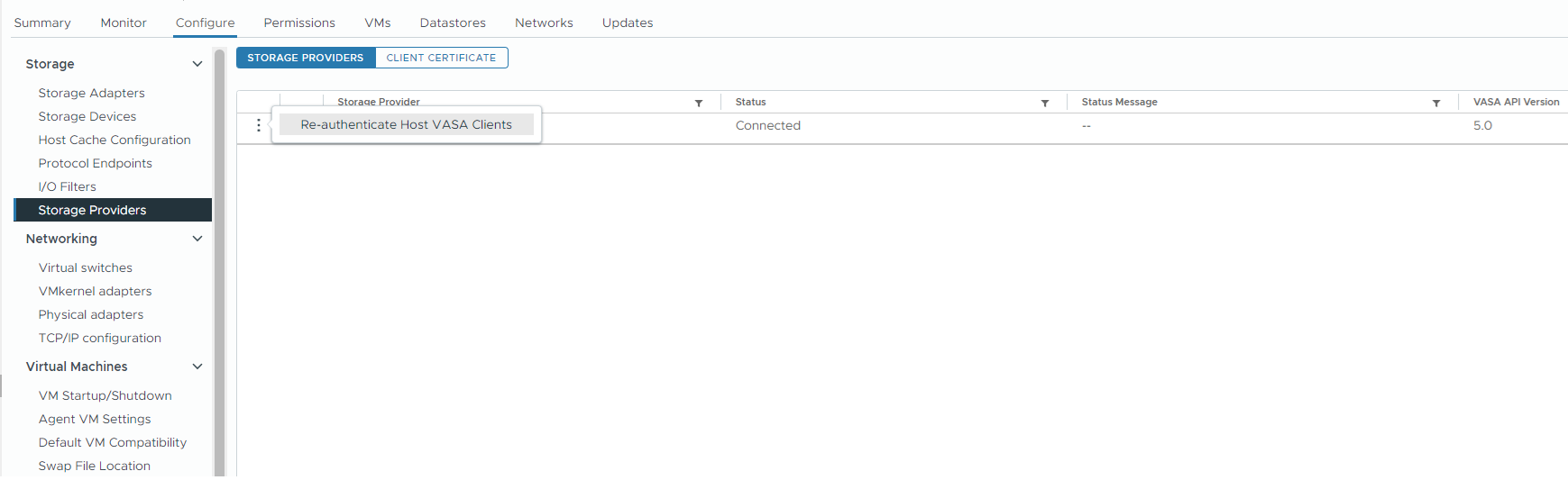 Screenshot of the ESXi host Storage Provider user interface