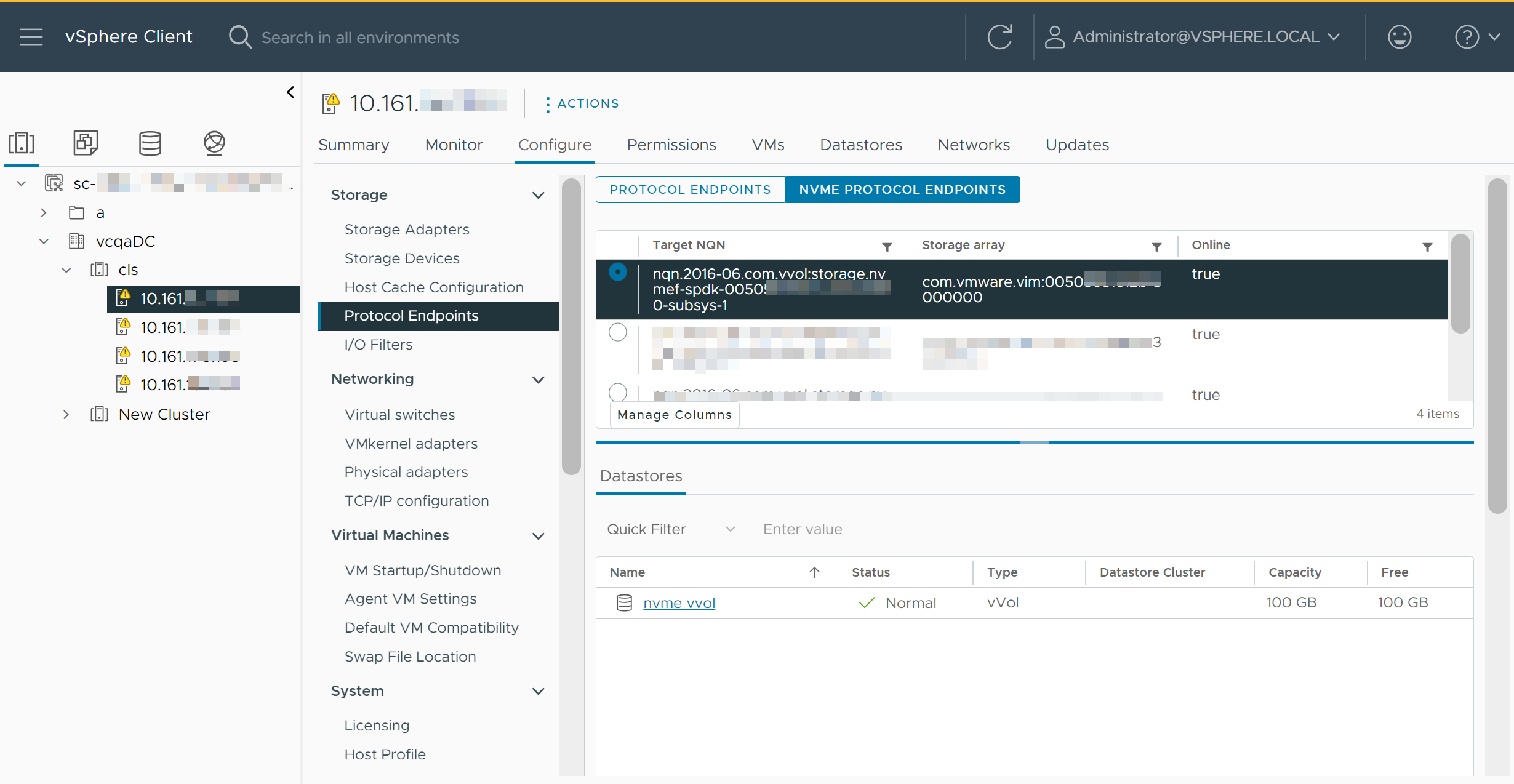 The screenshot details for the selected NVMe protocol endpoint.