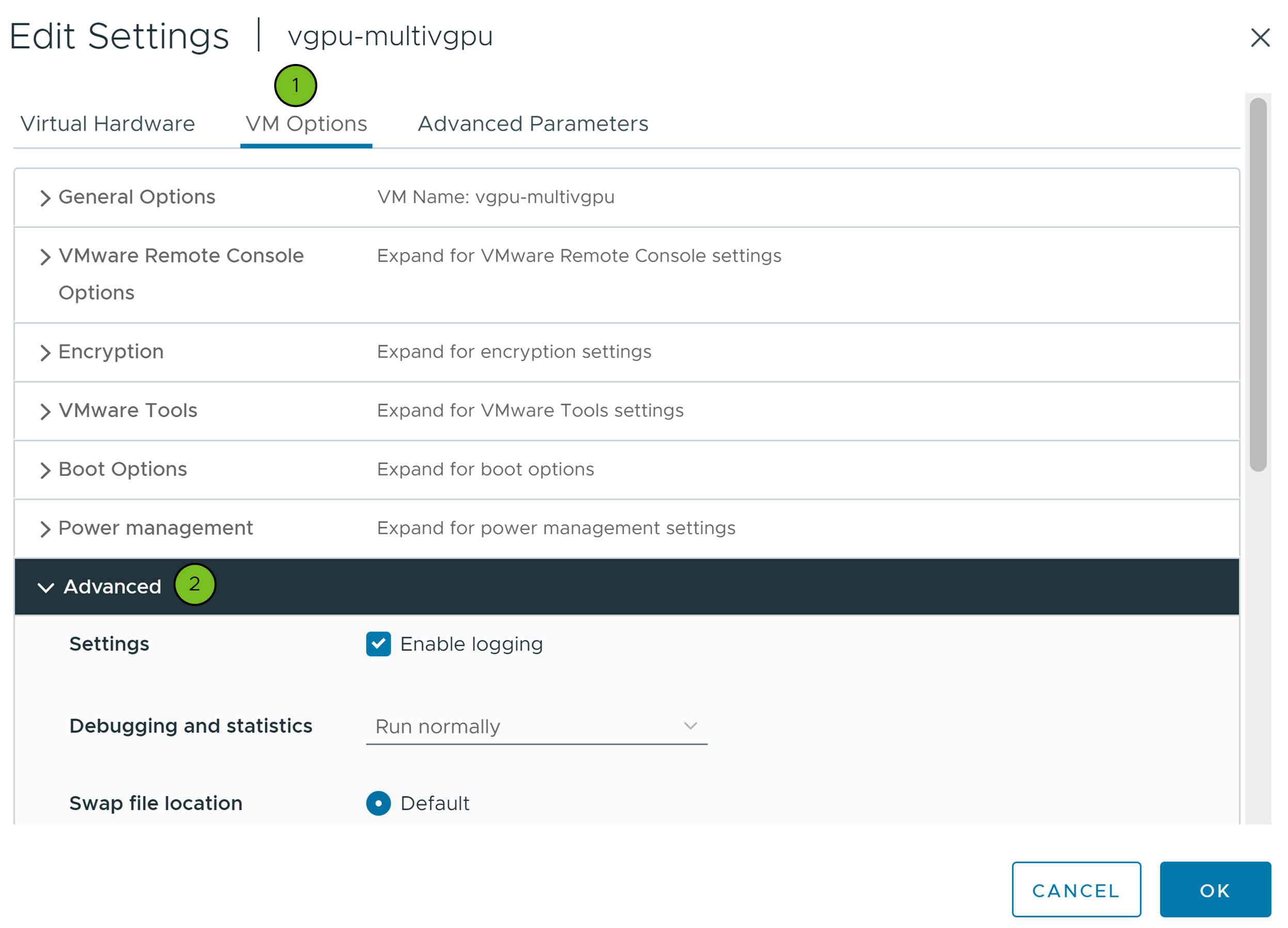 The Edit Settings dialog box with the virtual machine advanced settings expanded.