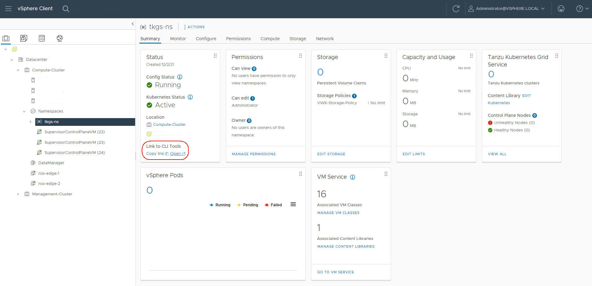 The vSphere Namespace configuration panel with the link to CLI tools circled.