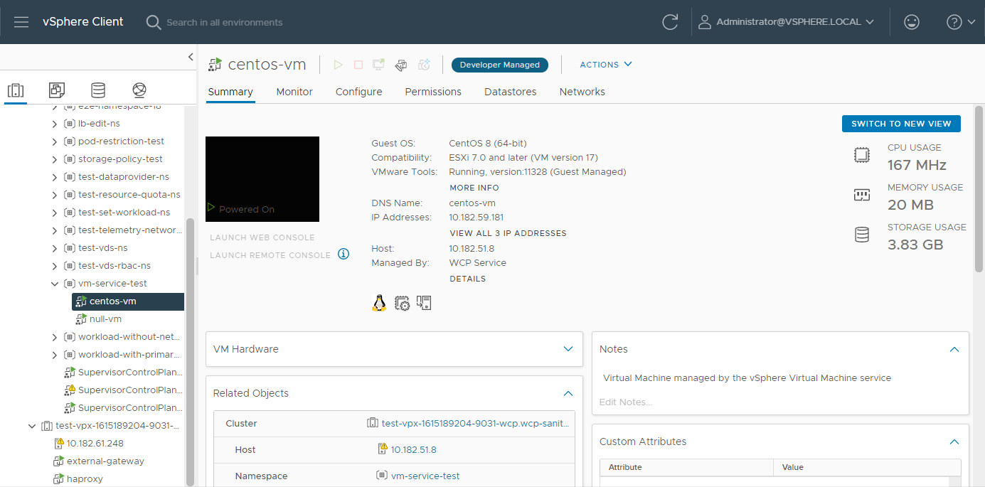 Information about the VM, including its guest OS and IP addresses