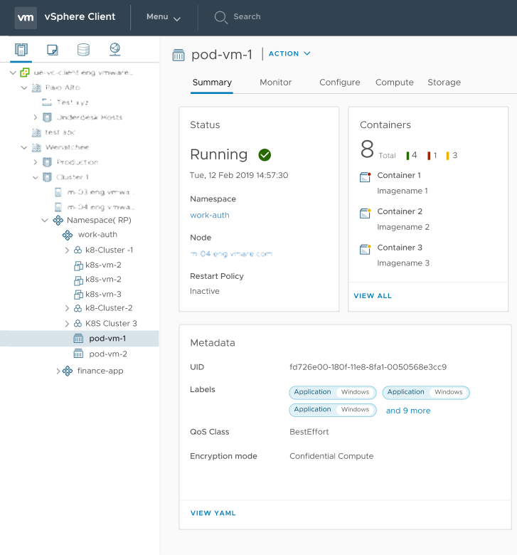 Encryption Mode: Confidential Compute shows up for the vSphere Pod